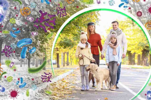 dog virus