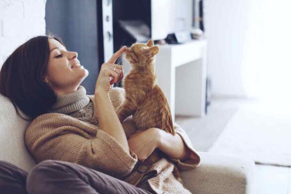 Keeping Pets Warm in Winter
