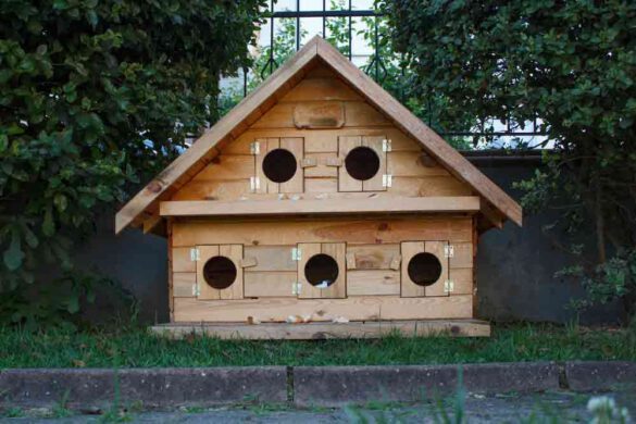 feral cat housing